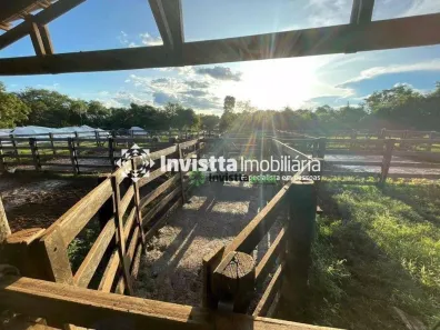 Fazenda / Sítio / Chácara à venda, 1283m² no Centro, Pium