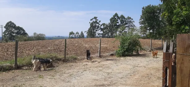 Fazenda / Sítio / Chácara com 3 Quartos à venda, 150m² no , Sarapuí