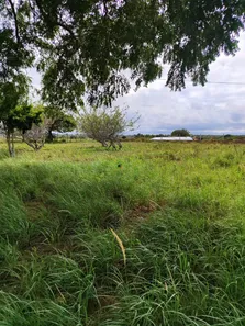 Fazenda / Sítio / Chácara com 4 Quartos à venda, 3260000m² no sítio 304, 