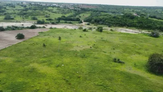 Fazenda / Sítio / Chácara com 3 Quartos à venda, 300000m² no , Ielmo Marinho