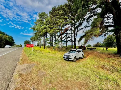 Fazenda / Sítio / Chácara à venda, 300m² no Cerrito, Santa Maria
