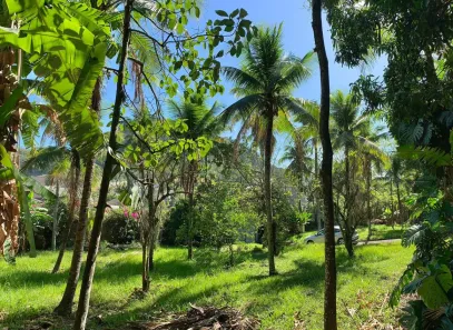 Fazenda / Sítio / Chácara com 4 Quartos à venda, 8000m² no Jacarepaguá, Rio de Janeiro