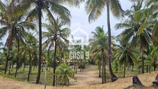 Terreno / Lote / Condomínio à venda, 27598m² no , Conde