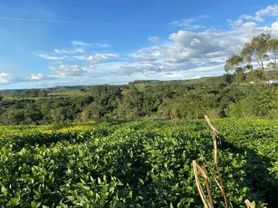 Fazenda / Sítio / Chácara com 2 Quartos à venda, 70000m² no , Brasília