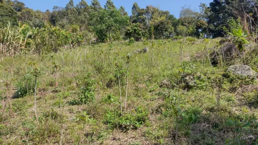 Fazenda / Sítio / Chácara à venda, 12040m² no , Piedade