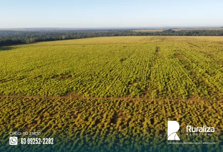 Fazenda / Sítio / Chácara à venda, 304m² no , Guaraí