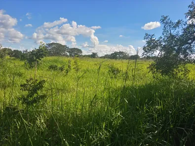 Fazenda / Sítio / Chácara à venda, 60000m² no Jardim Roriz, Brasília