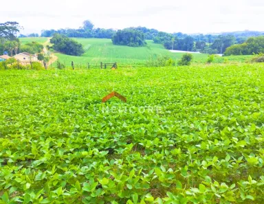 Fazenda / Sítio / Chácara com 1 Quarto à venda, 23600m² no Passaúna, Araucária