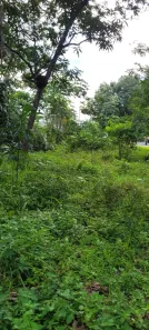 Fazenda / Sítio / Chácara com 3 Quartos à venda, 100m² no , Itapecuru Mirim