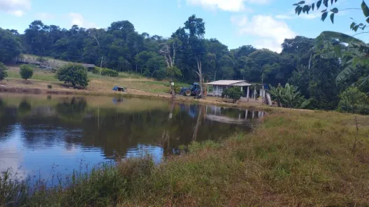 Fazenda / Sítio / Chácara com 2 Quartos à venda, 50m² no , Pilar do Sul