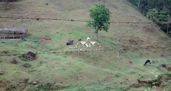 Fazenda / Sítio / Chácara com 3 Quartos à venda, 247m² no Mantiquira, Duque de Caxias