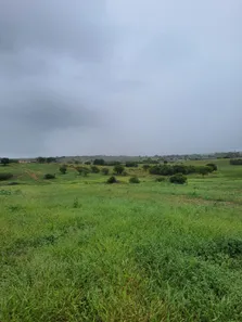 Fazenda / Sítio / Chácara com 4 Quartos à venda, 5500000m² no Centro, Ielmo Marinho