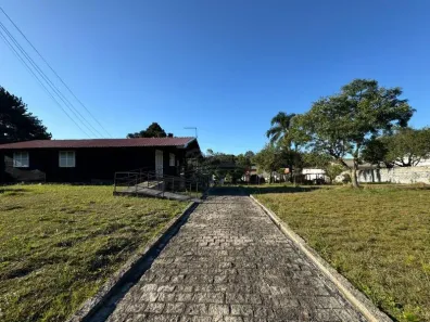 Fazenda / Sítio / Chácara com 3 Quartos à venda, 180m² no Palmitalzinho, Quatro Barras