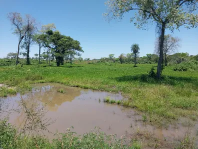 Fazenda / Sítio / Chácara com 3 Quartos à venda, 700000m² no , Anastácio