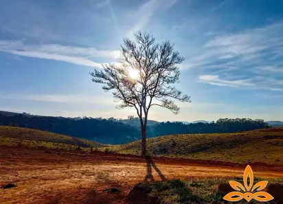 Terreno / Lote / Condomínio à venda, 600m² no Vila Romanópolis, Ferraz de Vasconcelos