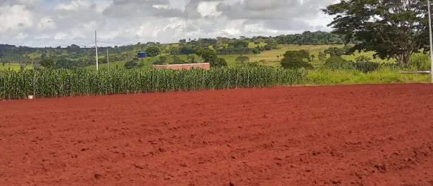 Fazenda / Sítio / Chácara à venda, 2000m² no Área Rural, Goianira