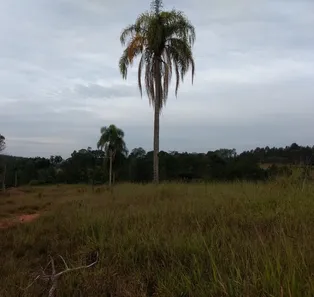 Fazenda / Sítio / Chácara com 3 Quartos à venda, 70m² no , Pilar do Sul