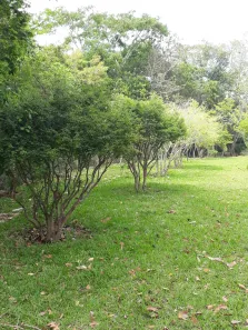 Casa de Condomínio com 4 Quartos à venda, 150m² no , Hidrolândia