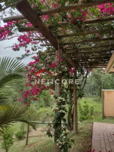 Fazenda / Sítio / Chácara com 2 Quartos à venda, 100m² no Centro, Mairinque
