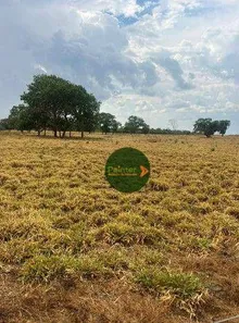 Fazenda / Sítio / Chácara à venda, 10009120m² no Vila Oeste, Paraíso do Tocantins