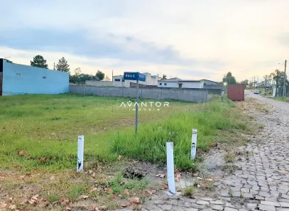 Terreno / Lote / Condomínio à venda, 288m² no Tomazetti, Santa Maria