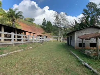Fazenda / Sítio / Chácara com 15 Quartos à venda, 2500m² no , Mendes