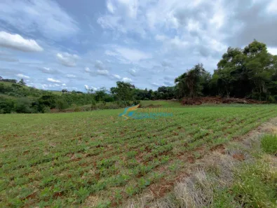 Fazenda / Sítio / Chácara à venda, 242000m² no , Guaraniaçu