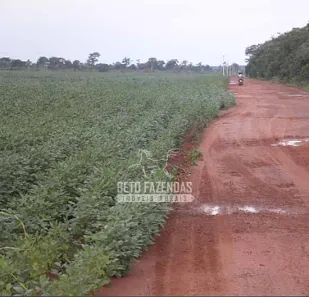 Fazenda / Sítio / Chácara à venda, 999999999m² no , Paraíso do Tocantins