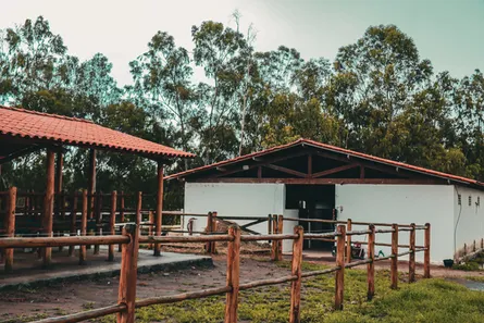Fazenda / Sítio / Chácara à venda, 350000m² no Centro, Chã Grande