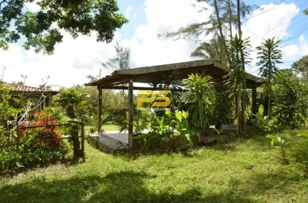 Fazenda / Sítio / Chácara com 4 Quartos à venda, 4000m² no Jacumã, Conde