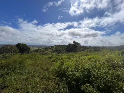 Fazenda / Sítio / Chácara à venda, 4500m² no Área Rural de Gravatá, Gravatá