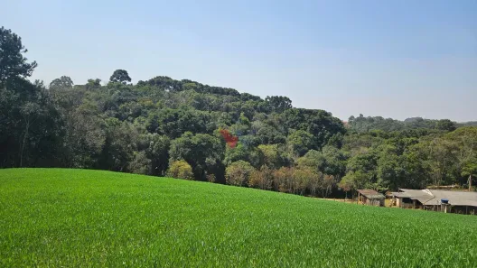 Fazenda / Sítio / Chácara com 1 Quarto à venda, 20000m² no Capela Velha, Araucária