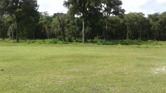 Terreno / Lote / Condomínio à venda, 94095m² no Alexandra, Paranaguá