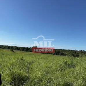 Fazenda / Sítio / Chácara à venda, 500m² no , Formoso do Araguaia