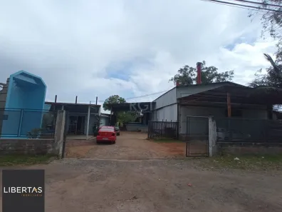 Galpão / Depósito / Armazém com 1 Quarto à venda, 60m² no Lageado, Porto Alegre