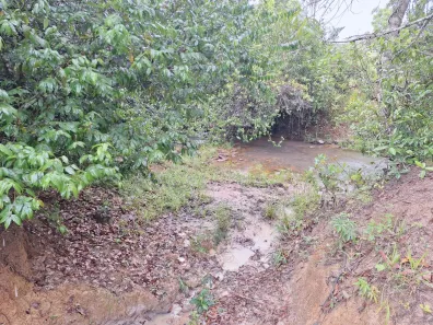 Fazenda / Sítio / Chácara à venda, 142000m² no Área Rural de Formosa, Formosa