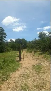Fazenda / Sítio / Chácara com 3 Quartos à venda, 200m² no , Paranã