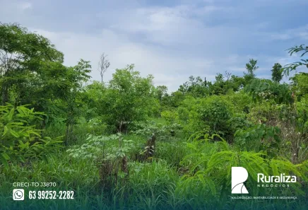 Fazenda / Sítio / Chácara à venda, 1113m² no , Rio Sono