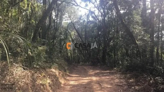 Fazenda / Sítio / Chácara com 1 Quarto à venda, 100m² no , Contenda