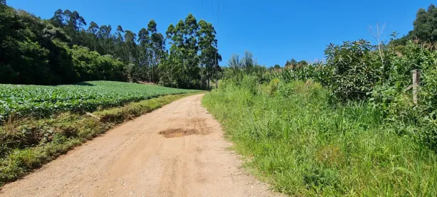 Terreno / Lote / Condomínio à venda, 24200m² no Centro, Campo Magro