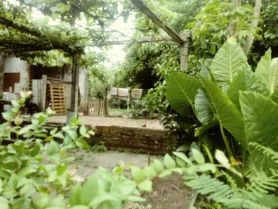 Terreno / Lote / Condomínio à venda, 727m² no Centro, Santa Maria