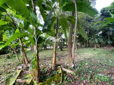 Terreno / Lote / Condomínio à venda, 1000m² no Aldeia dos Camarás, Camaragibe
