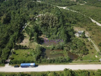 Fazenda / Sítio / Chácara com 2 Quartos para venda ou aluguel, 170m² no Zanzala, São Bernardo do Campo