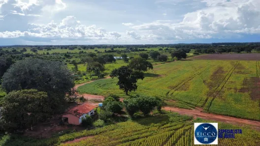 Terreno / Lote / Condomínio à venda, 1243m² no Setor Central, Formoso do Araguaia
