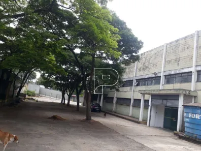 Galpão / Depósito / Armazém para alugar, 4000m² no Industrial Anhangüera, Osasco