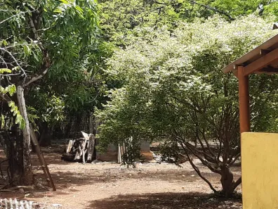 Fazenda / Sítio / Chácara com 2 Quartos à venda, 10000m² no Centro, Padre Bernardo