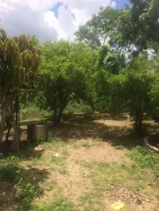 Fazenda / Sítio / Chácara com 4 Quartos à venda, 120000m² no , Aliança