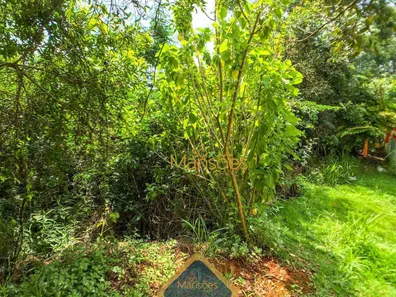 Terreno / Lote / Condomínio à venda, 1000m² no Vila Alpina, Nova Lima