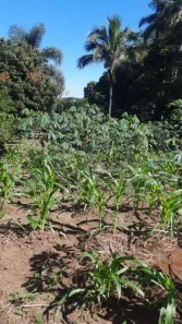 Terreno / Lote / Condomínio à venda, 1200m² no Chácara Ipês, Caçapava