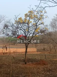 Terreno / Lote / Condomínio à venda, 1800m² no Centro, Pedro Leopoldo